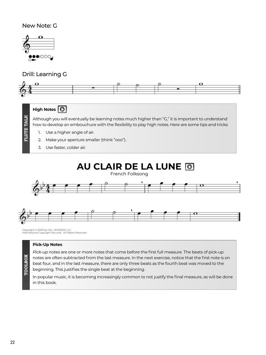 Do It Yourself Flute Book/Olm
