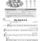 In The B-A-G - Collection of Songs for Recorder (Classroom Book/Ola)
