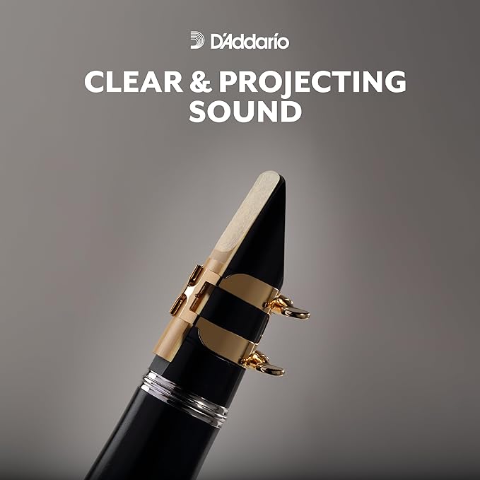 D'Addario Rico 2.5 Bb Clarinet Reed (Single) - Perfect for Beginners