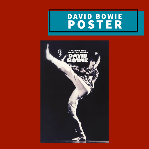 David Bowie - Man Who Sold The World Poster Giftware