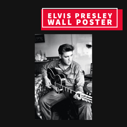 Elvis Presley Wall Poster Giftware