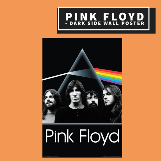 Pink Floyd - Dark Side Group Poster Giftware