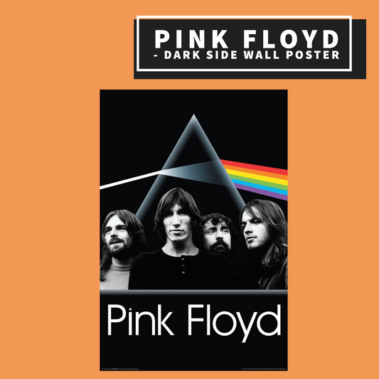 Pink Floyd - Dark Side Group - Poster