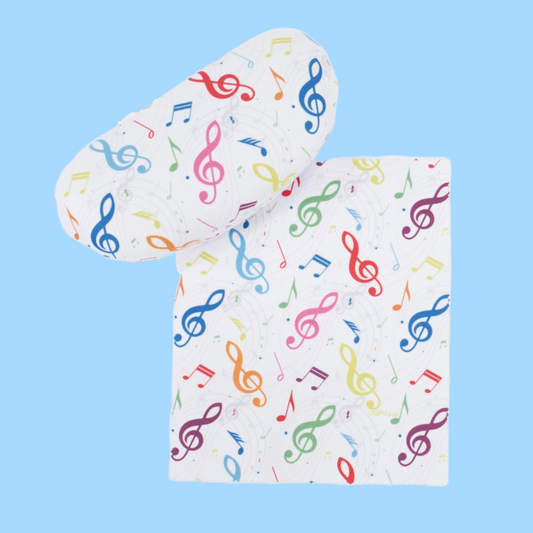 Colourful Notes and Clefs Music Sun Glasses Case with Matching Microfibre Cloth