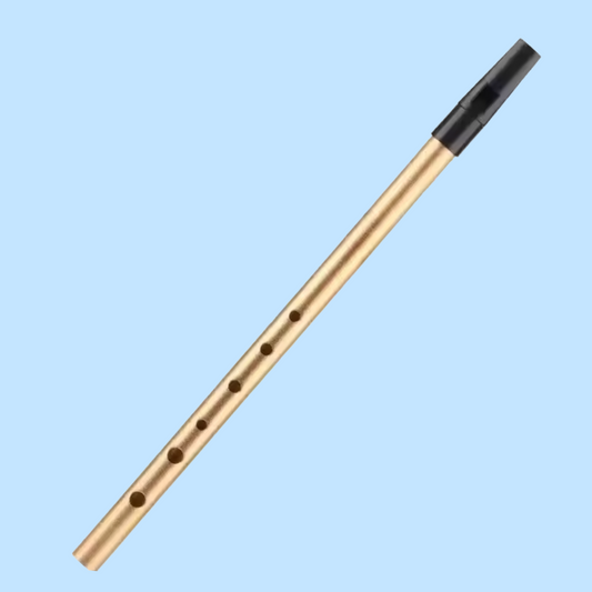 Irish Tin Whistle in Gold - 6 Hole - Key of C with Case and Anti-Dust Bag