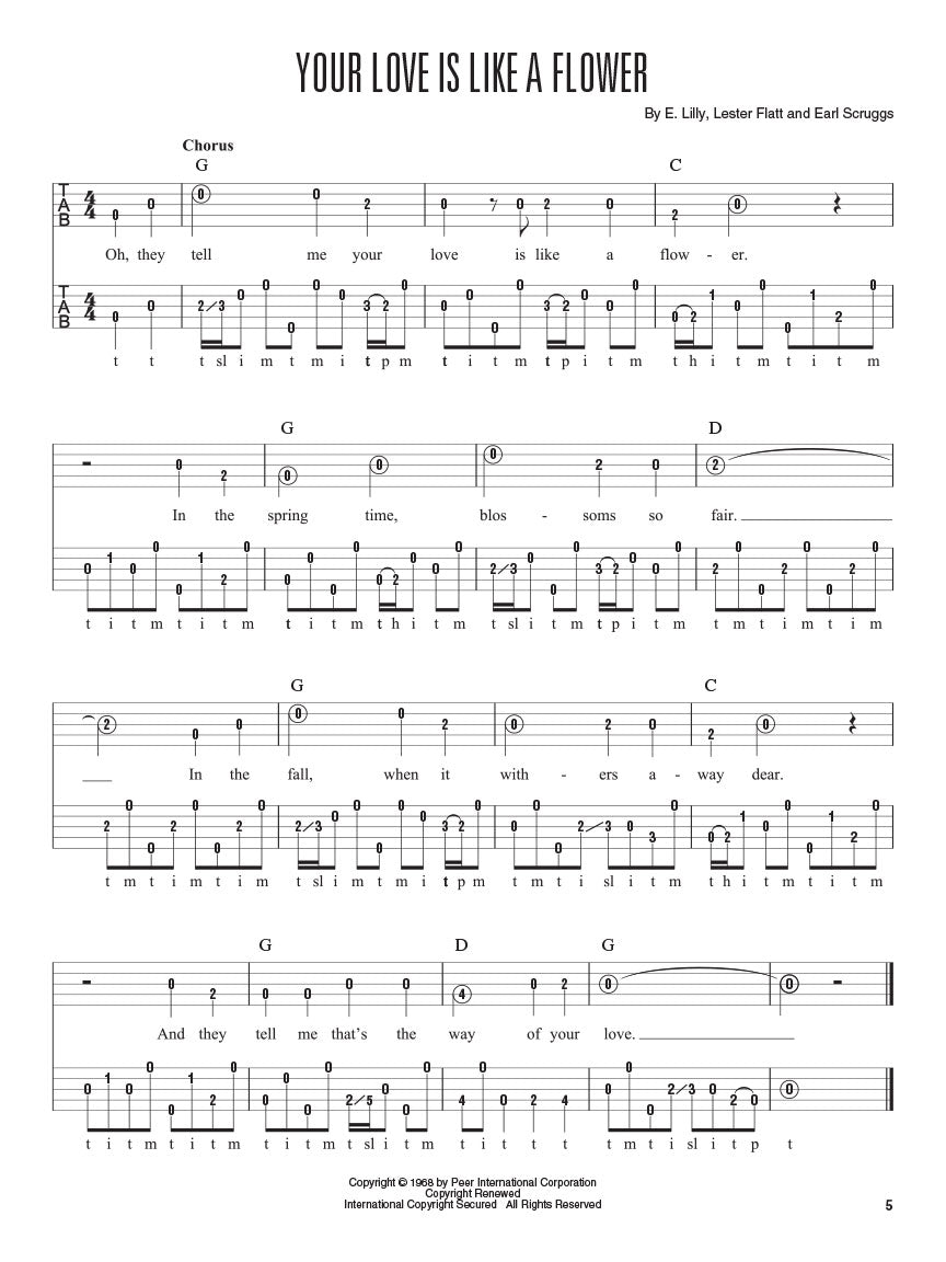 Hal Leonard Banjo Method - More Easy Banjo Solos Book (2nd Edition)