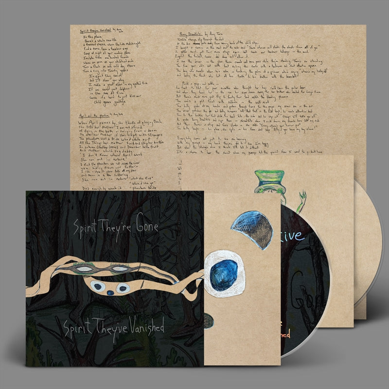Animal Collective - Spirit They• Gone Spirit They• Vanished CD