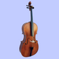 Vivo Student 4/4 Cello Outfit with Bow & Padded Bag (Beginner Cello)