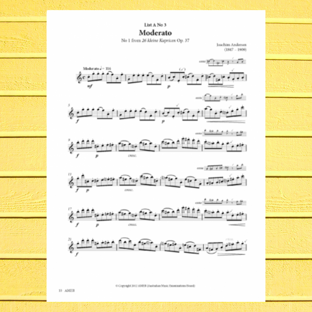 AMEB Flute Series 3 - Grade 3 Book