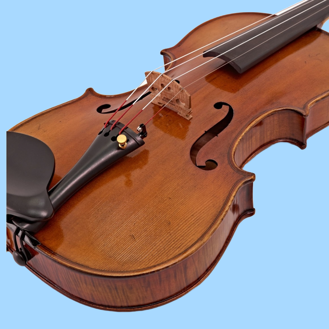 Hidersine Venezia Violin Full Size 4/4 Outfit with Case, Bow & Rosin