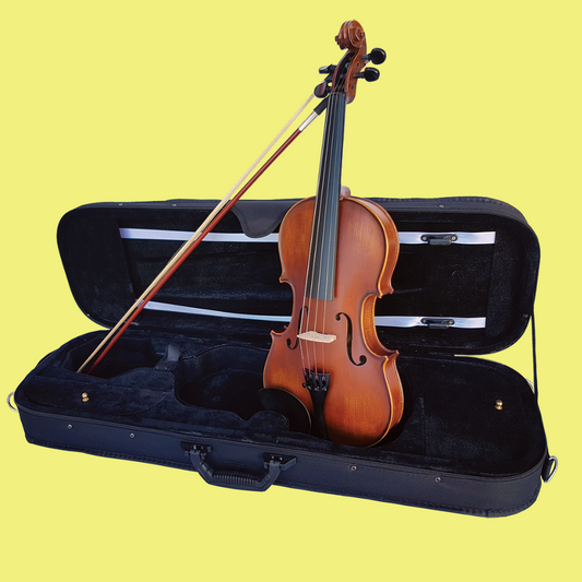 Vivo Elite 4/4 Violin Outfit with Case & Bow