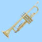 Grassi GRSTR500 Gold Lacquer School Series Bb Trumpet (Beginner Trumpet)