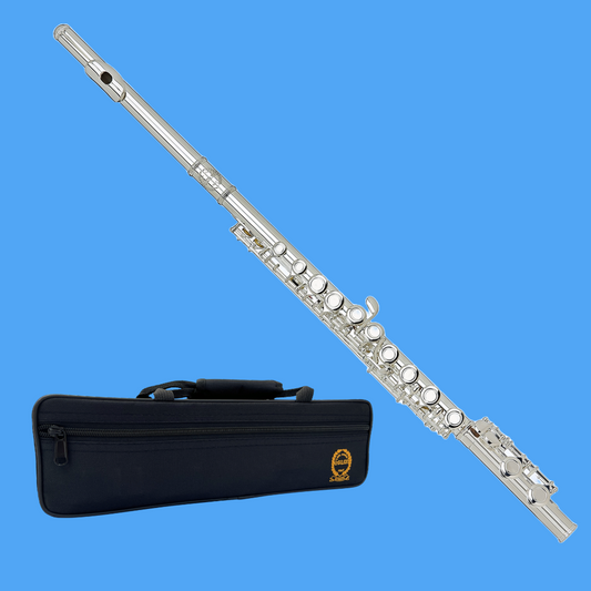 Grassi GRSFL290 School Series Flute with Case (Beginner Flute)