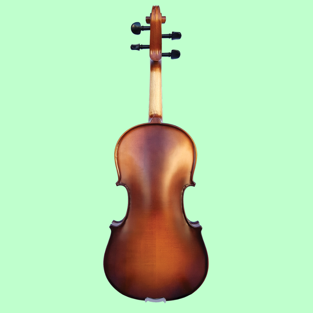 Vivo Encore 1/2 Student Violin Outfit with Case & Bow (Beginner Violin)