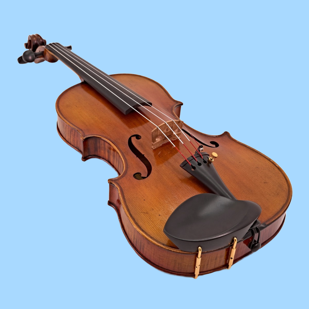 Hidersine Venezia Violin Full Size 4/4 Outfit with Case, Bow & Rosin