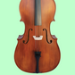 Vivo Student 1/2 Cello Outfit with Bow & Poly-Foam Hard Case (Beginner Cello)