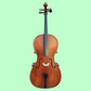Vivo Student 1/2 Cello Outfit with Bow & Poly-Foam Hard Case (Beginner Cello)