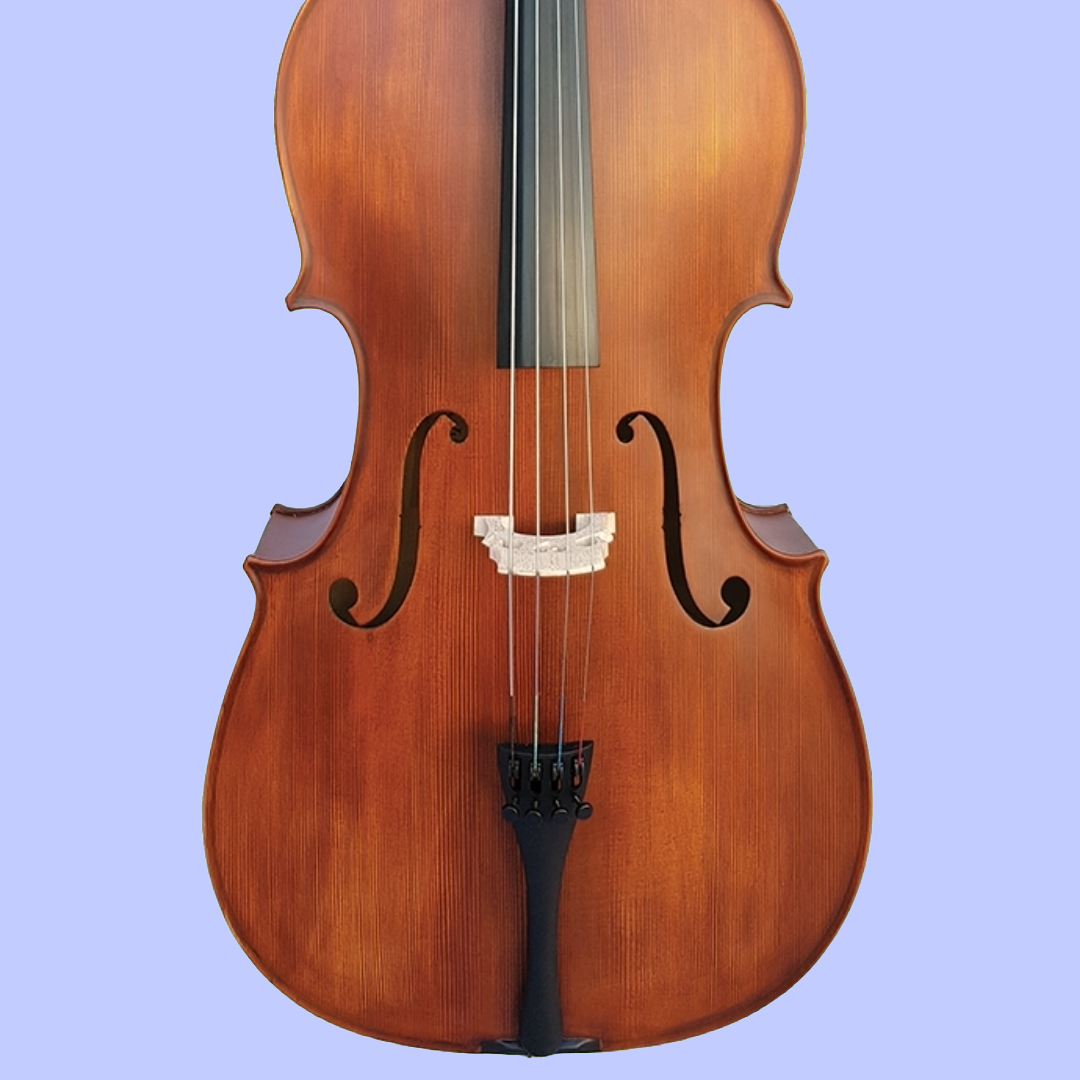 Vivo Student 1/4 Cello Outfit with Bow & Poly-Foam Case (Beginner Cello)