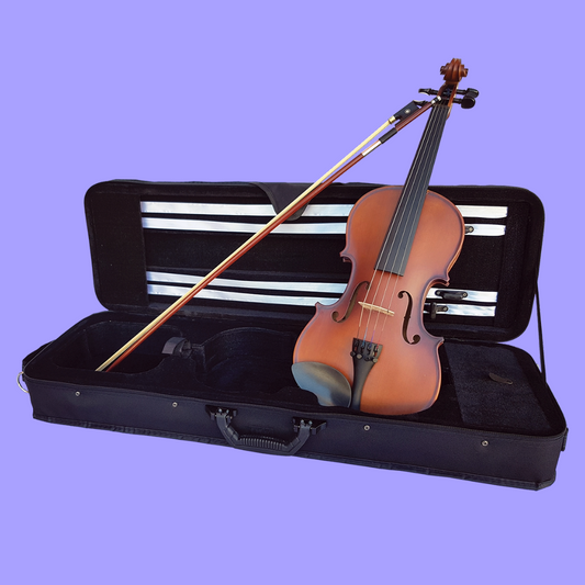 Vivo Neo Plus Student 4/4 Violin Outfit (Beginner Violin)