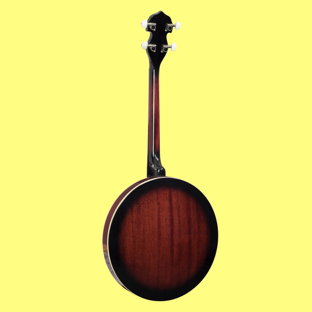 Barnes & Mullins BJ304GT - Perfect 4-String Gaelic Tenor Banjo