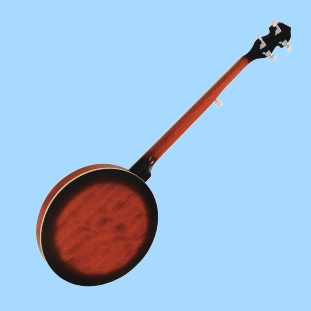 Barnes & Mullins - BJ300 'Perfect' 5-String Banjo