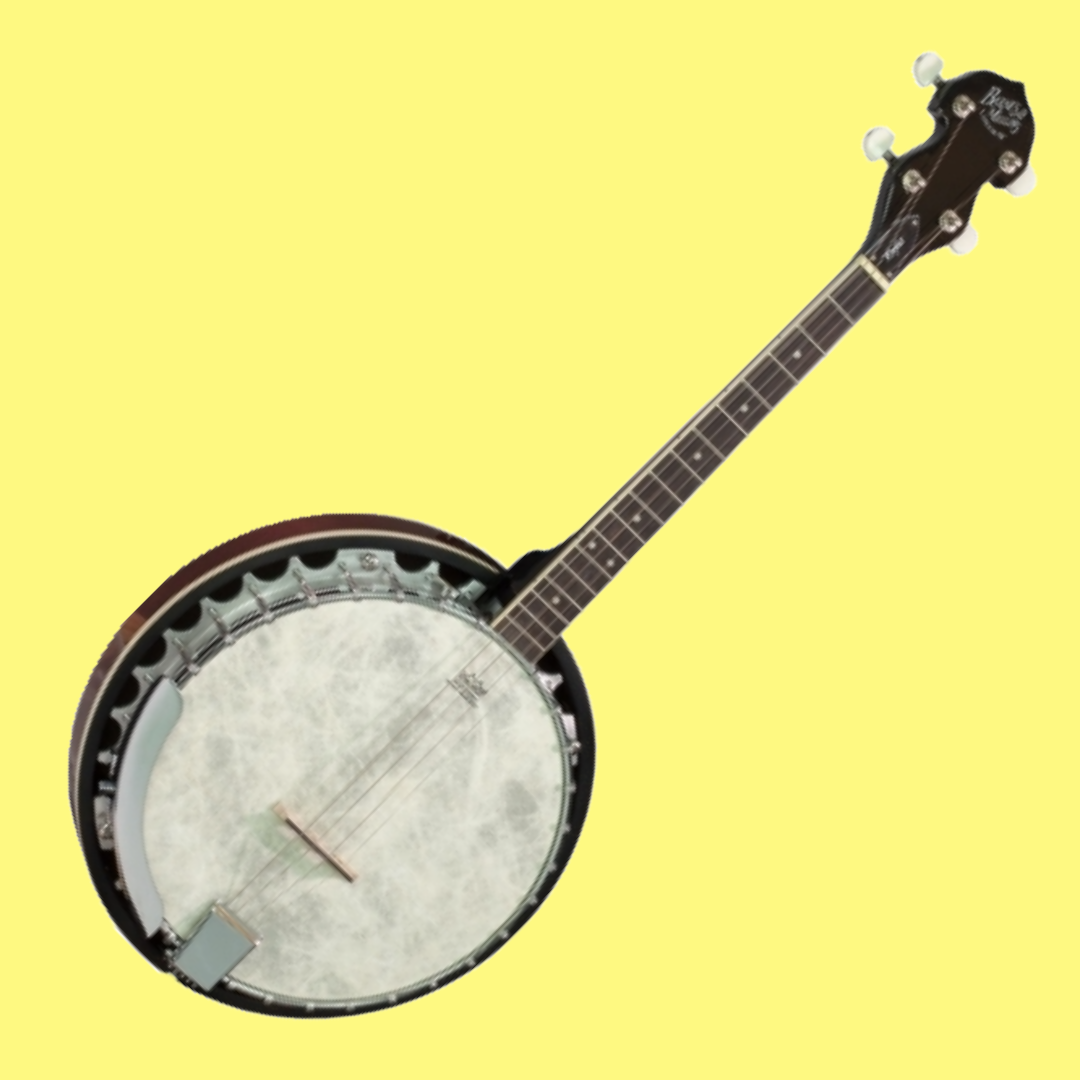 Barnes & Mullins BJ304GT - Perfect 4-String Gaelic Tenor Banjo