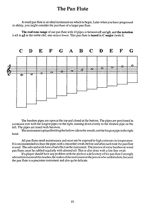 You Can Teach Yourself Pan Flute Book/Olm
