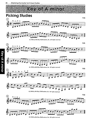 Mastering The Guitar - Book 1A with Online Audio and Video