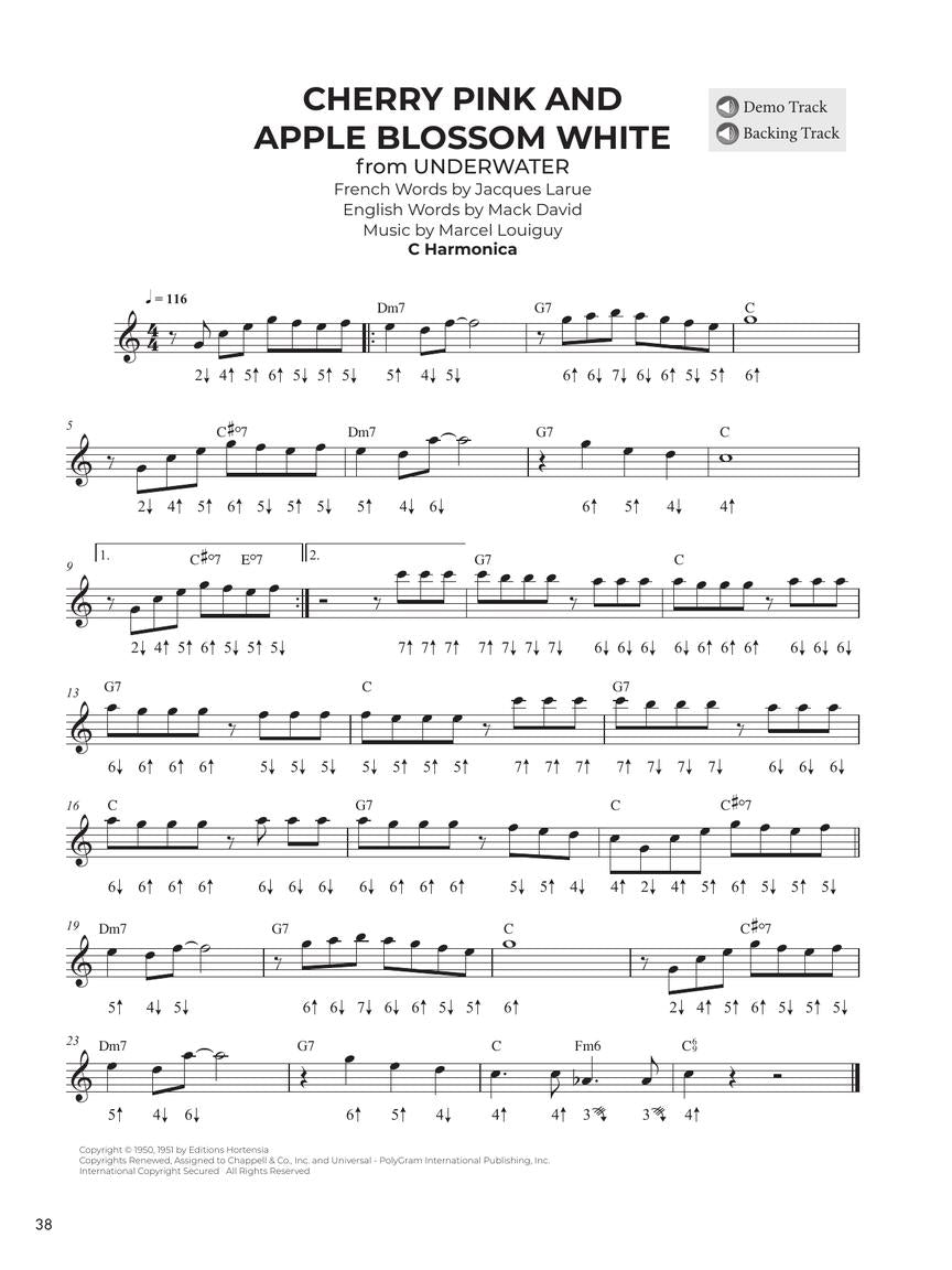 Do-It-Yourself Harmonica Book/Olm