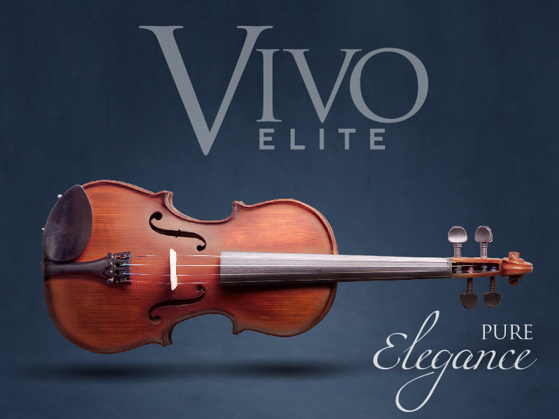 Vivo Elite 4/4 Violin Outfit with Case & Bow