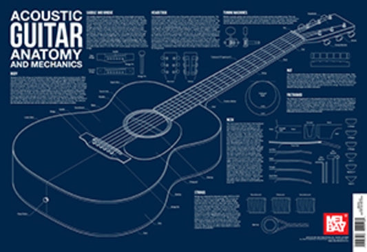 Acoustic Guitar Anatomy Wall Chart - Music2u