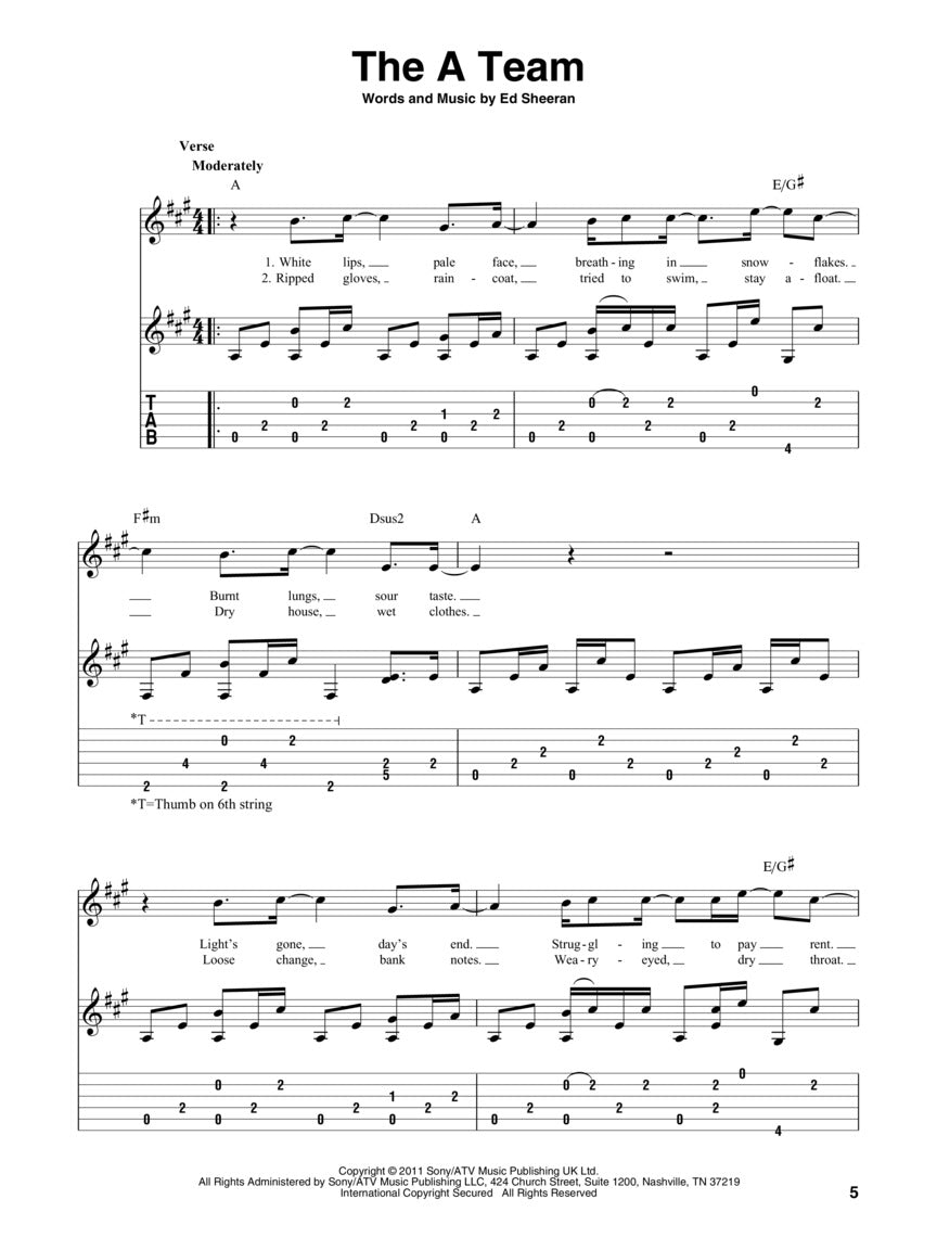 Fingerpicking Acoustic Hits Book