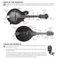 First 15 Lessons - Mandolin (Book/Olm)