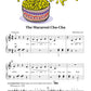 Hal Leonard Student Piano Library - All In One Piano Lesson Book C (Book/Ola)