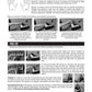 The Hal Leonard Melodica Method Book/Ola