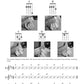 Hal Leonard Ukulele Method Book 2 (Book/Ola)