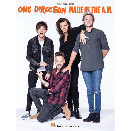 One Direction - Made In The Am PVG