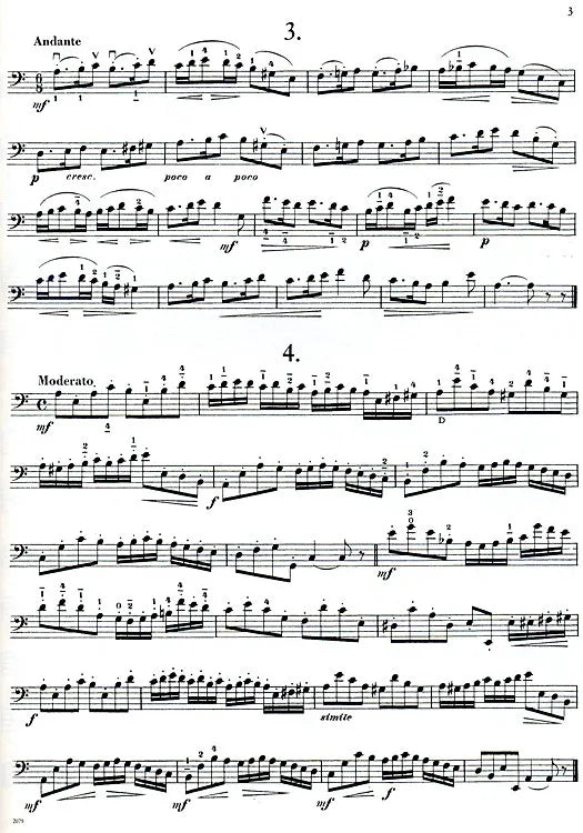 Wilhelm Sturm - 110 Studies Op 20 Volume 1 Bass Book