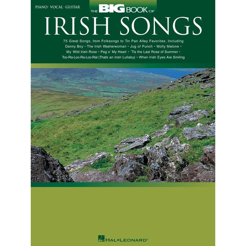 Big Book Of Irish Songs PVG