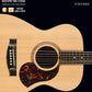 Hal Leonard Guitar Method -  Fingerpicking Guitar Book/Olm