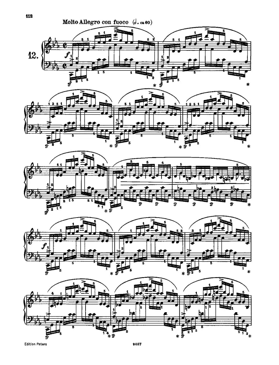 Frederic Chopin: Etudes Op.10 Nos.1–12; Op.25 Nos 1–12 Piano Solo Book