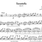 Netzel - Tarantella For Flute And Piano Arr North - Allegro Publishing - Image 2