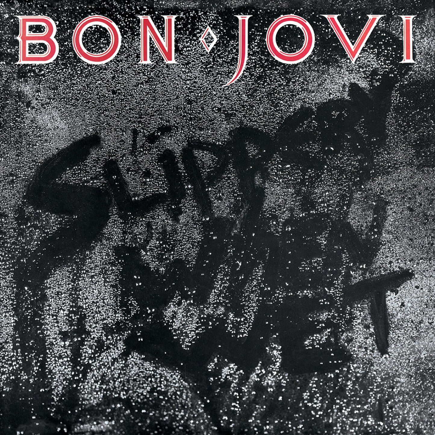 Bon Jovi 'Slippery When Wet' Vinyl Album and Crosley Vinyl Crate Bundle