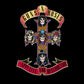 Guns N Roses 'Appetite for Destruction' Vinyl Album and Crosley Vinyl Crate Bundle