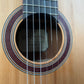 Kremona S65CGG Sofia Green Globe Classical Guitar with Premium Case Pack - LAST ONE!