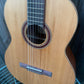 Kremona S65CGG Sofia Green Globe Classical Guitar with Premium Case Pack - LAST ONE!