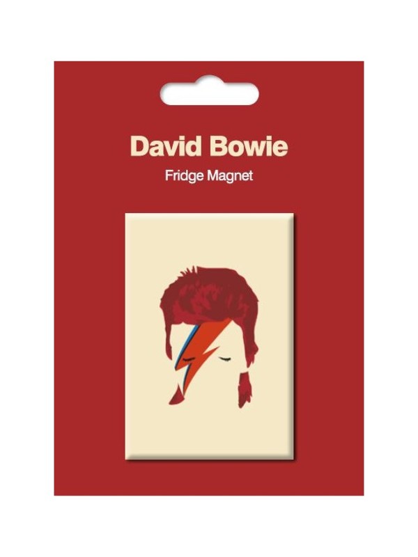 DAVID BOWIE FRIDGE MAGNET ALADDIN SANE