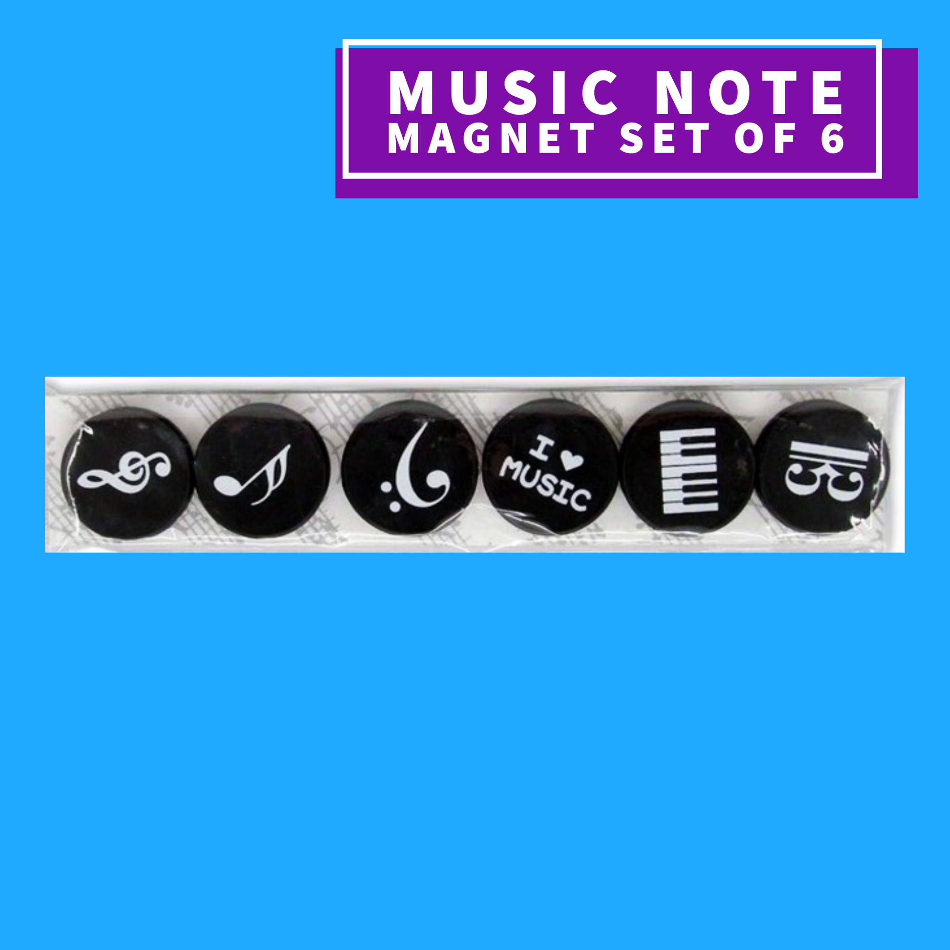 Music Notes Magnet 6 Set