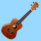 Flight NUC310 Concert Ukulele with Padded Gig Bag