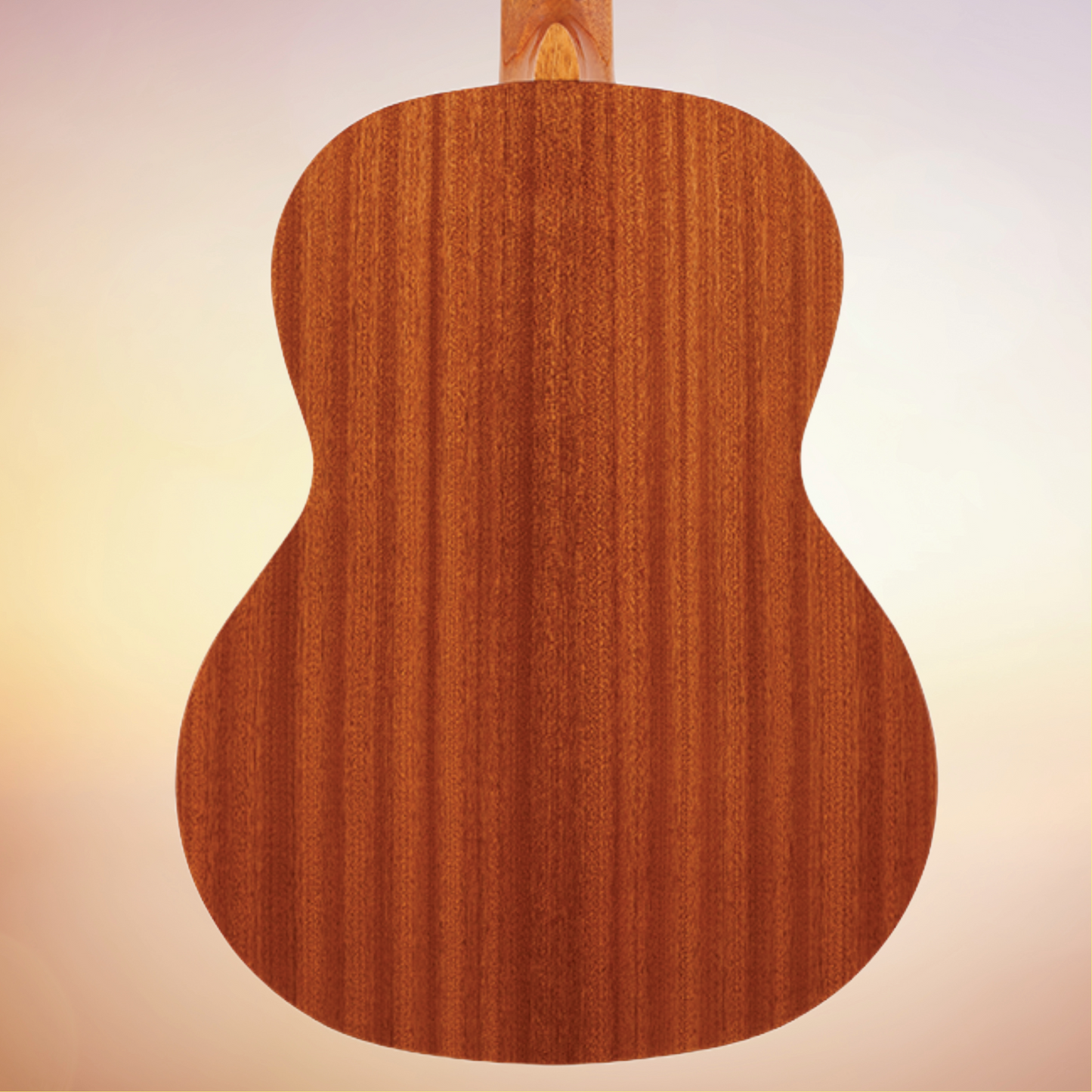 Kremona S65S Sofia Spruce / Sappeli Classical Guitar with Premium Soft Case